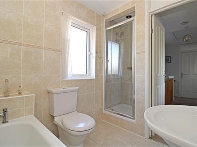 Picture 19